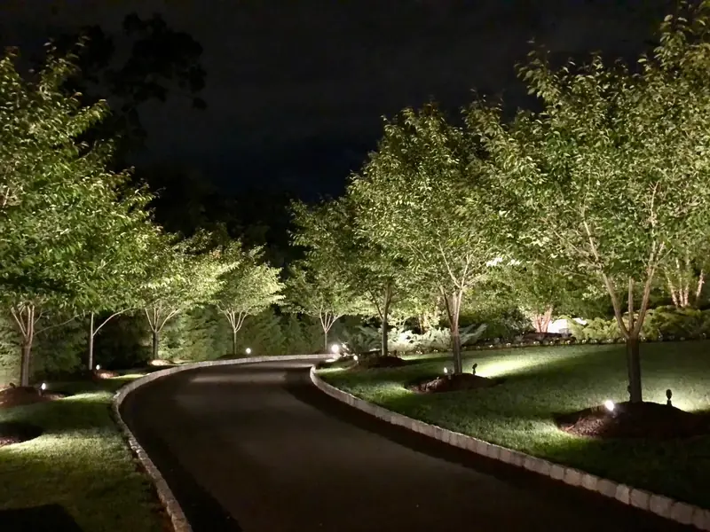 driveway and tree lighting at night, Florham Park, NJ