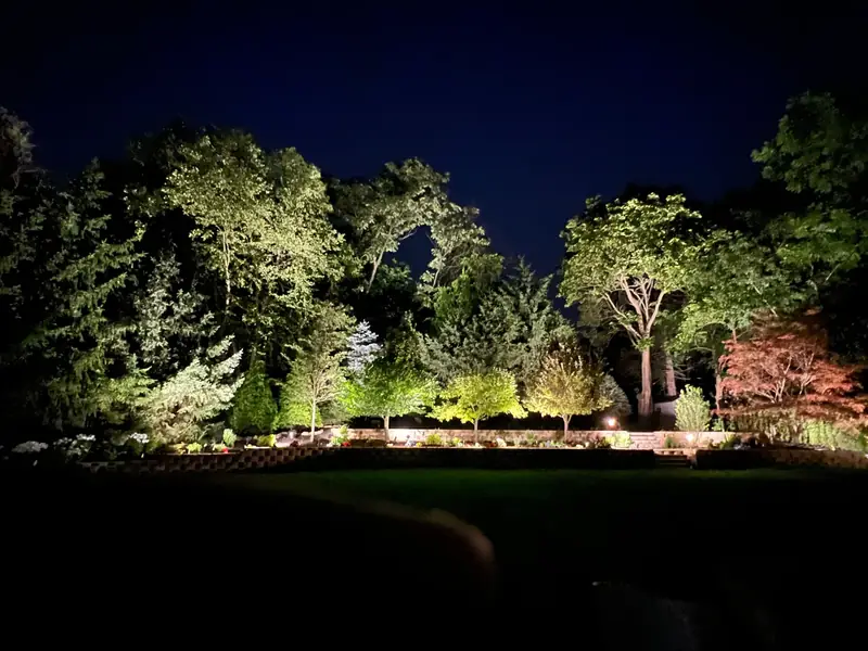 backyard tree uplighting and lawn at night, Wayne, NJ